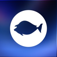 Bluespine logo - Similar company to Secupi