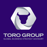 TORO GROUP GLOBAL logo - Similar company to Acp Healthtech
