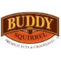 Buddy Squirrel, LLC logo - Similar company to American It Solutions, Inc