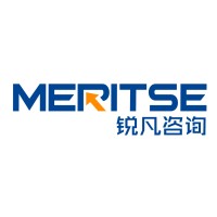 Meritse Management Consulting logo - Similar company to 安徽智领未来科技有限公司