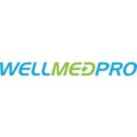 WellMed Pro logo - Similar company to Sonolife Global