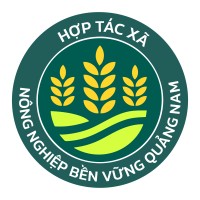 QUANG NAM S-A CO.OP logo - Similar company to Hapinut