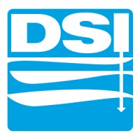 Drillers Service logo - Similar company to Flowise Engineered