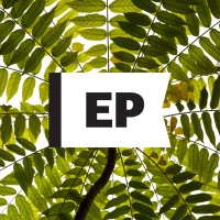 El Planteo logo - Similar company to Thc Magazine