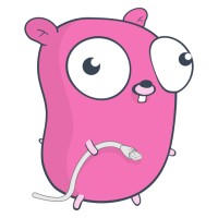 goproxy.dev logo - Similar company to Digistats Analytics