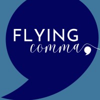 Flying Comma Consulting logo - Similar company to Motive Influence