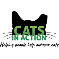 Cats in Action logo - Similar company to Freeflow Studio