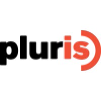 Pluris logo - Similar company to Value Negotiation