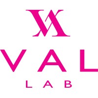 VALERI LAB logo - Similar company to Konsol.Studio