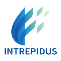 Intrepidus Talent Solutions, LLC logo - Similar company to Retail Mcp