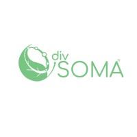 Div Soma logo - Similar company to Echo Dezign