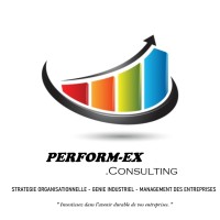PERFOM-EX Cosulting logo - Similar company to Impulse Qhse
