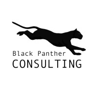 Black Panther Consulting logo - Similar company to Black Panther Technologies