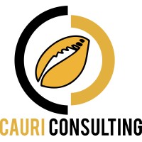 Cauri Consulting logo - Similar company to Caauri Consulting