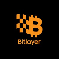 Bitlayer logo - Similar company to Active Zone