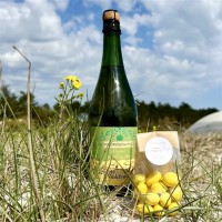 Firmagaveronline A/S logo - Similar company to Sesam A/S