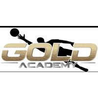 Gold Academy 2022 logo - Similar company to Areaventi