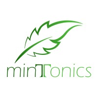 Minttonics logo - Similar company to Tuchskill