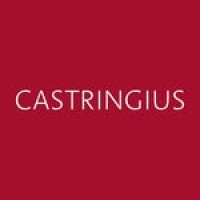 CASTRINGIUS logo - Similar company to M&P Dr. Matzen & Partner Mbb