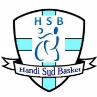 Handi Sud Basket logo - Similar company to Edtech Case