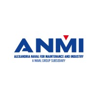 ANMI - Naval Group Egypt logo - Similar company to Itx-Machinevision