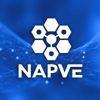NAP VE logo - Similar company to Ix Cde