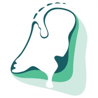 Stedon logo - Similar company to Samson Urban Elements