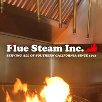 Flue Steam logo - Similar company to Integrated Fire Protection