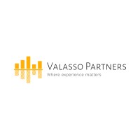 Valasso Partners logo - Similar company to Ascent Enterprise Solutions