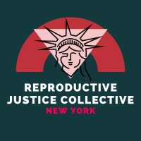 Reproductive Justice Collective logo - Similar company to Centre For Youth And Sustainable Development