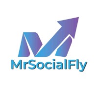 MrSocialfly.com logo - Similar company to Locus, Co-Working Space, Dhaka Bangladesh, Serviced Office, Virtual Office