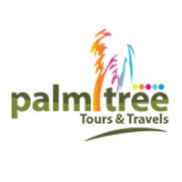 Palmtree Travels logo - Similar company to Traversia