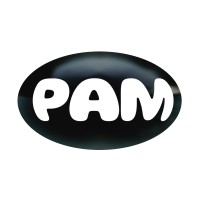 PamPam City logo - Similar company to The Information