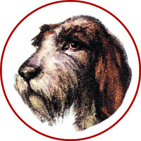 La Spinona logo - Similar company to Buana Aroma Alami