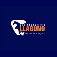 Grupo Llaguno logo - Similar company to Laboratorios Fercevsa