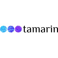 Tamarin Interactive