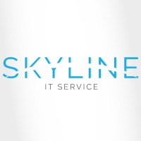 SkyLine Computer Ltd. logo - Similar company to Robogaze