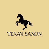 Texan-Saxon logo - Similar company to Techon Networks