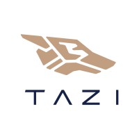 TAZI AI Systems logo - Similar company to E
