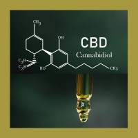 Industry Leading CBD / Hemp / Cannabis Start-Up logo - Similar company to Brandecosystems.Net | Seoweb.Ai | Fractional Cmo, Advisory & Consulting