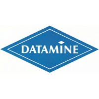 MICL (Datamine International) logo - Similar company to Terafil