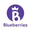 Blueberries LLC logo - Similar company to Blueberries Group