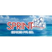 SPRINT EXPORTS PRIVATE LIMITED logo - Similar company to Oldpals Ocean Co., Limited
