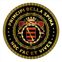 FOUNDATION POPE PAUL IV logo - Similar company to One Voice Foundation