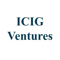 ICIG Ventures logo - Similar company to Licit Solutions Gmbh