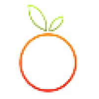 Orange Engineering logo - Similar company to Silvafx