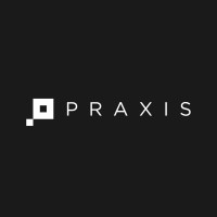 Praxis Group logo - Similar company to Quarsh | B Corp Certified