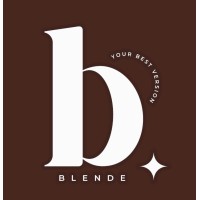 Blende logo - Similar company to The Infinity Canvas