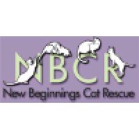 New Beginnings Cat Rescue, Inc.
