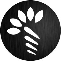 RipeGlobal logo - Similar company to Vidslash